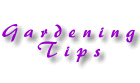 Gardening Tips